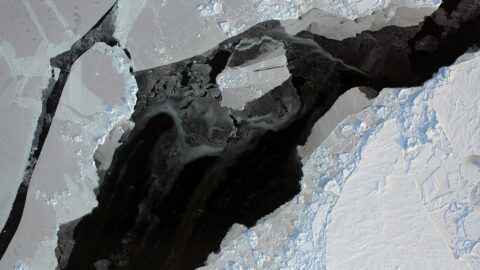 1280px Arctic Sea Ice Lead %287873353514%29