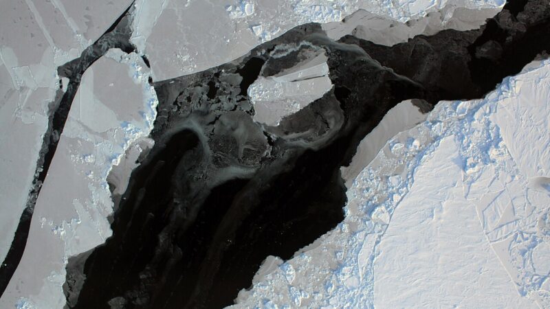 1280px Arctic Sea Ice Lead %287873353514%29