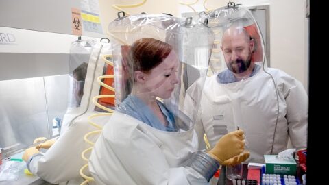 1280px BSL 4 research scientists at the NIAID Integrated Research Facility in Ft Detrick%2C Maryland preparing noninfectious laboratory materials